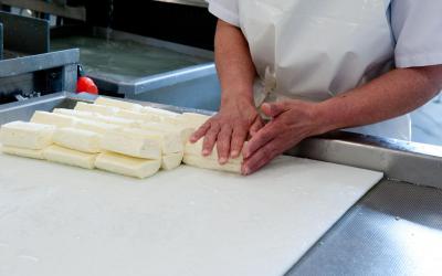 Each haloumi is folded in half when cooked,